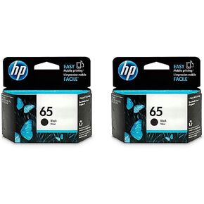 HP 65 Black Ink Cartridge | Works with HP AMP 100 Series, HP DeskJet 2600, 3700 Series, HP ENVY 5000 Series | Eligible for Instant Ink | N9K02AN