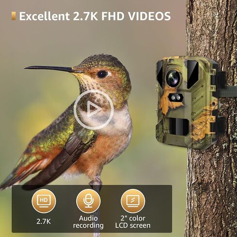 SPOYR 2 Pack Mini Trail Camera، 24MP 2.7K مع 32GB TF بطاقة لعبة الكاميرا 120 درجة زاوية واسعة كاميرا الصيد 2 بوصة LCD لا توهج للرؤية الليلية الحركة المنشط مقاوم للماء لمراقبة الحياة البرية في الهواء الطلق in Kuwait