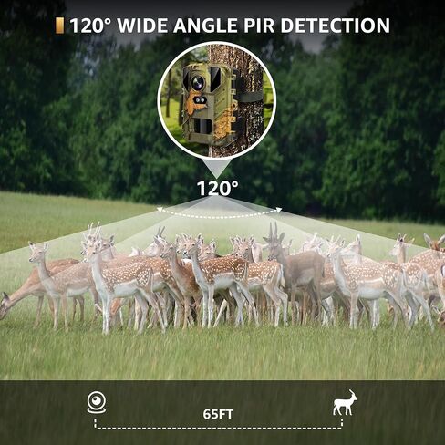 SPOYR 2 Pack Mini Trail Camera، 24MP 2.7K مع 32GB TF بطاقة لعبة الكاميرا 120 درجة زاوية واسعة كاميرا الصيد 2 بوصة LCD لا توهج للرؤية الليلية الحركة المنشط مقاوم للماء لمراقبة الحياة البرية في الهواء الطلق in Kuwait