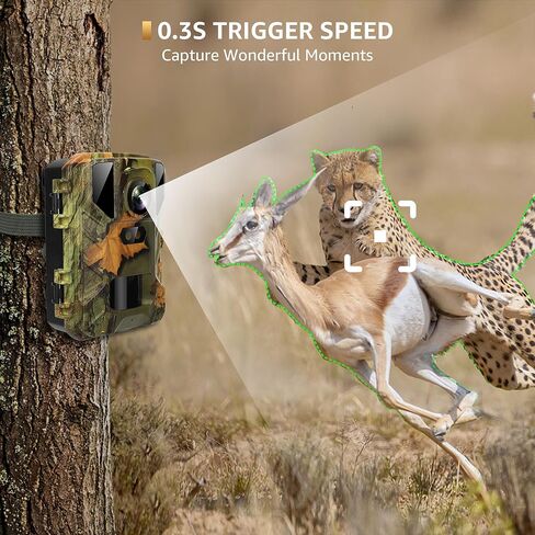 SPOYR 2 Pack Mini Trail Camera، 24MP 2.7K مع 32GB TF بطاقة لعبة الكاميرا 120 درجة زاوية واسعة كاميرا الصيد 2 بوصة LCD لا توهج للرؤية الليلية الحركة المنشط مقاوم للماء لمراقبة الحياة البرية في الهواء الطلق in Kuwait