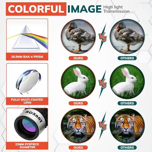 روكسانت تلسكوب أحادي العدسة - تلسكوب جيب خفيف للغاية عالي الدقة - يتضمن منظار أحادي مدمج وحزام للرقبة وقطعة قماش للتنظيف، منظار أحادي العدسة للبالغين، تلسكوب محمول باليد عالي الطاقة in Kuwait