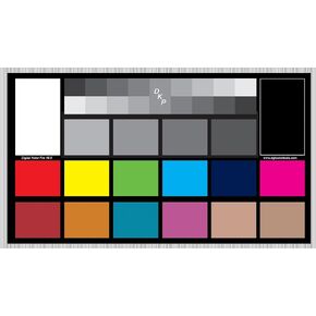 DGK Digital Kolor Pro 16:9 Chart - Set of 2 Large Color Calibration - Video Chip Charts / 18% Gray White Balance Cards in Saudi Arabia