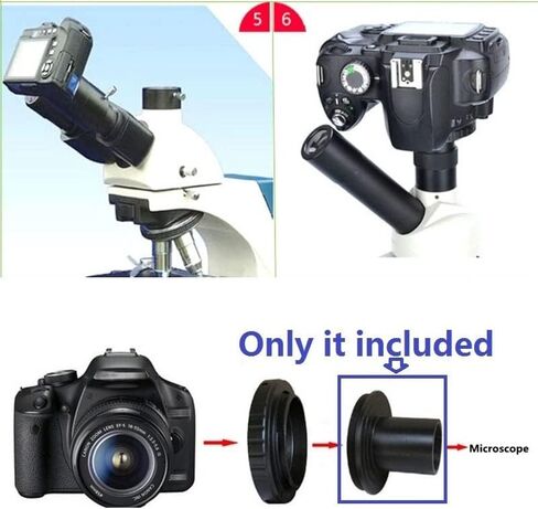 Lab Microscope Accessories Microscope Camera Adapter Ring-Microscope Telescope Eyepiece Transfer Tube Adapter for M42 Camera Adaptor to 23.2mm 30mm 30.5mm 1.25 inch Mounting Diameter (Color : M42 to in Kuwait