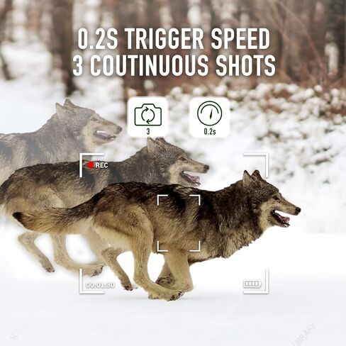 كاميرا LANCERGEAR Trail 1080P 24MP IP66 مقاومة للماء مع رؤية ليلية واضحة 100 قدم حركة نشطة 0.1 ثانية وقت إطلاق مستمر للرماية LCD مع كاميرا لعبة صيد متوهجة in Kuwait