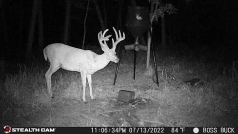 كاميرا Stealth Cam G42NG No-Glow Trail Game، سرعة إطلاق سريعة مع وضع الاندفاع، تصوير فيديو عالي الدقة in Kuwait