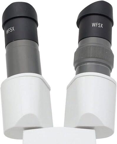 Lab Microscope Accessories Wide Field WF5X Eyepiece for Stereo Microscope with Rubber Eye Cups Mounting Size 30mm or 30.5mm Field of View 20mm Optical Lens (Color : Diameter 30.5mm) in Kuwait