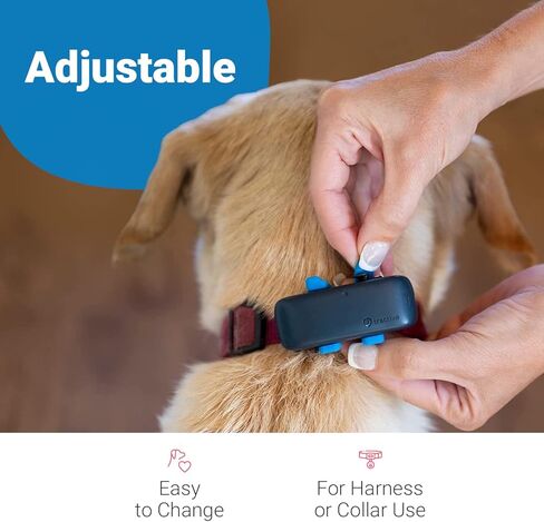 مشابك مطاطية لتتبع الكلاب مقاس XL من Tractive (عبوة من 3 قطع) in Kuwait