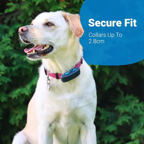 مشابك مطاطية لتتبع الكلاب مقاس XL من Tractive (عبوة من 3 قطع) in Kuwait