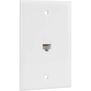 Ethernet Wall Plate, 2 Port Cat 6 RJ45 Keystone Female to Female Wall Plate Compatible with Cat7/6/6e/5/5e Ethernet Devices