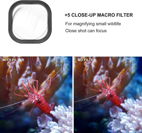 GEPULY Waterproof Case with 2 Cold Shoes for GoPro Hero 8 Black Camera | 196FT/60M 316 Stainless Steel Clear Glass Bulit In Dual Cold-Shoe Slots Vertical Horizontal Rigging External Light/Mic Ready in Saudi Arabia