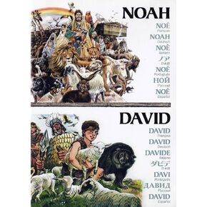 NOAH - DAVID (Multi-Language) [DVD] in Saudi Arabia