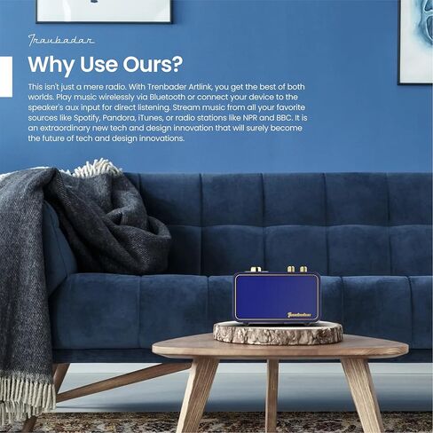 ترينبادر مكبر صوت بلوتوث ريترو مع راديو، مكبر صوت بلوتوث لاسلكي محمول للمنزل والمكتب والسفر في الهواء الطلق، صوت ستيريو أفضل، بلوتوث 5.0، وقت تشغيل 12 ساعة، تصميم مكبر صوت كلاسيكي خشبي in Kuwait