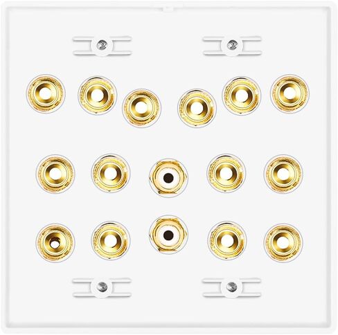 TNP Speaker and Subwoofer Wall Plate - 7.2 Surround Sound, Wall Speaker Connection Audio Wall Plate for AV RCA Connectors and Home Theater Banana Plugs in Saudi Arabia