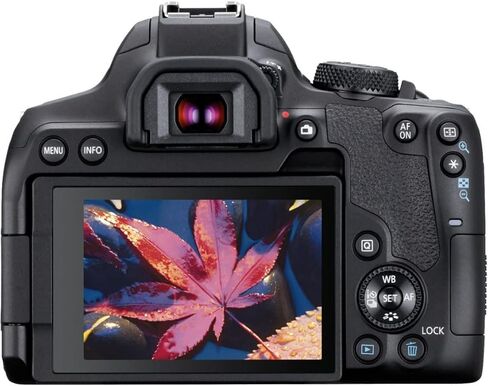 Canon Rebel T8i Body Bundle: Includes Sturdy Tripod, 64GB Memory Card, USB Reader + More in Saudi Arabia
