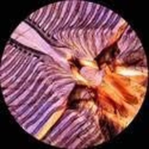 AmScope M162C-2L-PB10 40X-1000X Dual Light Glass Lens Metal Frame Student Microscope + Slides in Saudi Arabia