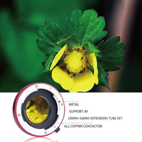 MEIKE MK-C-AF3C-Red Auto Focus Macro Metal Extension Tube Adapter for Canon EOS -M Bayonet Mirrorless Camera(10MM 16MM only use or Combination) EOS-M M2 M3 M5 M6 M10 M50 M100 M200 M6 Mark II … in Kuwait