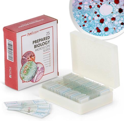 AmScope 120X-1200X 52-pcs Kids Beginner Microscope STEM Kit with Metal Body Microscope, Plastic Slides, LED Light and Carrying Box (M30-ABS-KT2-W),White in Kuwait