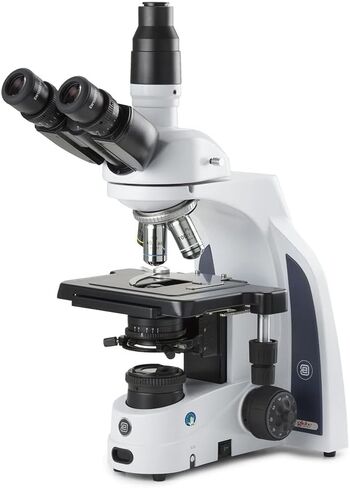 iScope Trinocular Compound Microscope EWF 10x/22mm Eyepieces, PLI Plan 4/10/S40/S100x Oil iOS Objectives, Rackless Stage 3W NeoLED Köhler Illumination, HD-Mini Camera 13in HD Screen, Globe | Euromex in Saudi Arabia