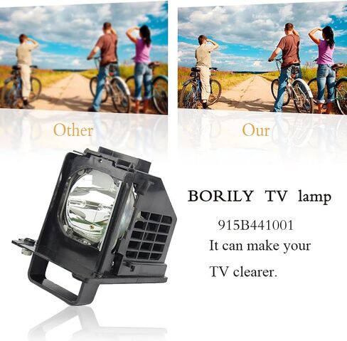 BORYLI 915B441001 Replacement Lamp with Housing for WD-60638 WD-60638C WD-60738 WD-60C10 WD-65638 WD-73C10 WD-73838 TVs 915B441A01 in Saudi Arabia