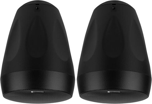 Dayton Audio WP65BT 6-1/2 بوصة IP66 زوج مكبرات صوت متدلية داخلية/خارجية 70 فولت/100 فولت 8 أوم أسود in Saudi Arabia