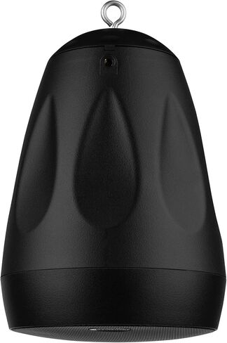 Dayton Audio WP65BT 6-1/2 بوصة IP66 زوج مكبرات صوت متدلية داخلية/خارجية 70 فولت/100 فولت 8 أوم أسود in Saudi Arabia