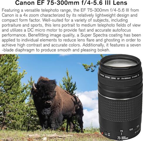 Canon EOS Rebel T7 DSLR Camera with 18-55mm is II Lens Bundle + Canon EF 75-300mm f/4-5.6 III Lens + 420-800mm HD Super Zoom Lens + 2X 64GB Cards + Filters + Flash + Monopod + Pro Kit in Saudi Arabia