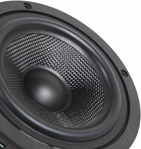 RANIT 6 بوصة Dia Max 100 واط مكبرات صوت محورية منخفضة إلى متوسطة التردد DIY مكبر صوت للسيارة مع مقاومة 4 أوم 90 ديسيبل in Kuwait