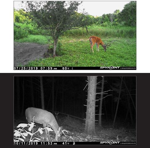 SPYPOINT Link-Micro-S-LTE-V Trail Camera Cellular Solar Panel 10MP Photos Night Vision 4 LED Infrared Flash 80'Detection Flash Range 0.4second Trigger Speed Game Cell Cameras for Hunting-For USA only in Saudi Arabia