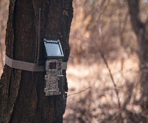 SPYPOINT Link-Micro-S-LTE-V Trail Camera Cellular Solar Panel 10MP Photos Night Vision 4 LED Infrared Flash 80'Detection Flash Range 0.4second Trigger Speed Game Cell Cameras for Hunting-For USA only in Saudi Arabia