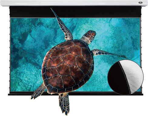 VIVIDSTORM-Projection Screen,PRO Slimline Motorized Office Presentation,Remote Controlled Drop Down Screen,Color Display Feature,Compatible with 4K Ultra Short Throw Laser Projector,VBMSLUST120H in Saudi Arabia
