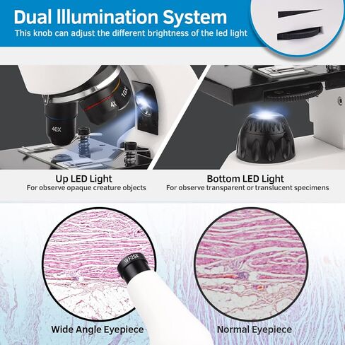 مجهر للبالغين والأطفال، مجهر أحادي العين 40X-2000X مع مجموعة علوم محول الهاتف شرائح المجهر، مجموعة المجاهر البيولوجية للطلاب مختبر التعليم المنزلي in Kuwait