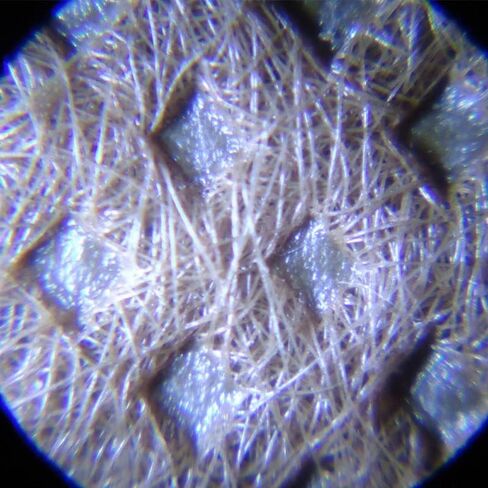 ملحقات المجهر الرقمي المحمولة أحادي العين تكبير مجهر الجيب الصغير ملحقات المجهر in Kuwait