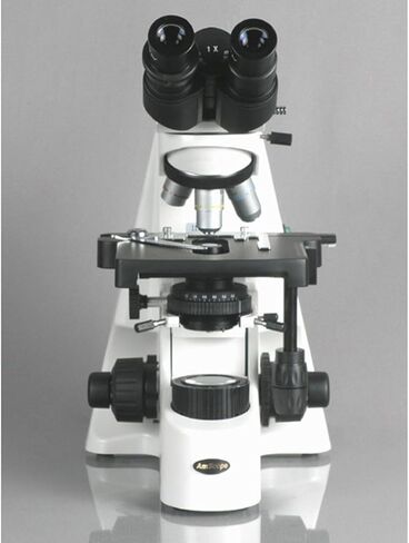 AmScope B690B Siedentopf Binocular Compound Microscope, 40X-2000X Magnification, WH10x and WH20x Super-Widefield Eyepieces, Infinity Objectives, Brightfield, Kohler Condenser, Double-Layer Mechanical Stage in Saudi Arabia