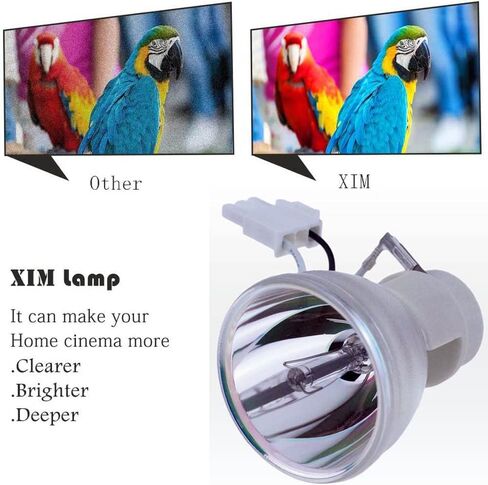 XIM BL-FU195A /BL-FU195B /BL-FU195C /BL-FU190E /RLC-100 /5J.J9R05.001 استبدال مصباح العرض العارية ل HD142X HD27 EH345 H183X TW342 S341 S340 DH1011 EH300 HD2500 PJD7828HDL PJD77 20 اتش دي MX570 MX525 in Kuwait