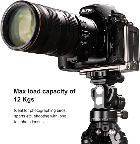 SUNWAYFOTO DT 02D50 2-Way Head Tripod Head Black in Saudi Arabia
