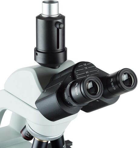 AmScope T550B 40X-2000X LED Biological Trinocular Compound Microscope in Saudi Arabia