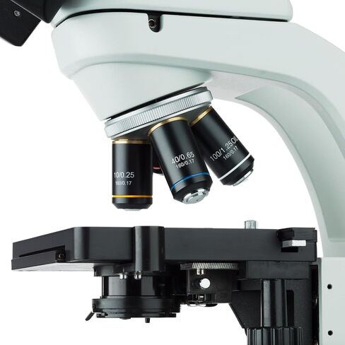 AmScope T550B 40X-2000X LED Biological Trinocular Compound Microscope in Saudi Arabia