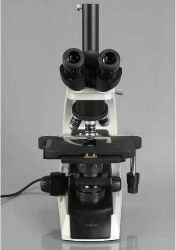 AmScope T650A مجهر مركب ثلاثي العينيات احترافي، تكبير 40X-1500X، عدسات WF10x وWF15x Widefield، أهداف خطة إنفينيتي، برايتفيلد، مكثف آبي، مرحلة ميكانيكية مزدوجة الطبقة in Saudi Arabia