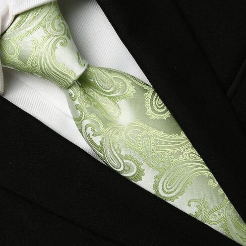 KissTies Skinny Tie 2.4'' Necktie Slim Ties + Gift Box in Saudi Arabia