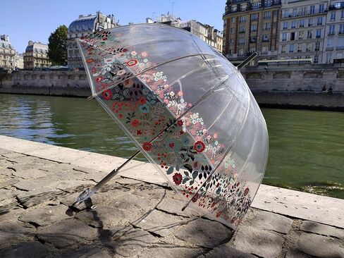 SMATI Paris - Lady’s Clear Birdcage Umbrella with white border – Transparent; Windproof; Auto open; Crystal style handle; French design; Dome shape umbrella in Kuwait