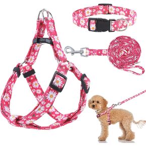 Auidy_6TXD الكلب تسخير طوق المقود مجموعة خطوة في الكلب تسخير لا سحب قابل للتعديل مشبك الظهر الرسن يسخر طوق المقود لجرو الكلاب الصغيرة سلالة المشي اليومي الجري المشي لمسافات طويلة in Kuwait
