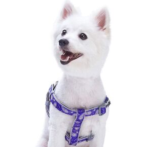 Blueberry Pet 5 Colors Soft & Comfy Step-in Paisley Flower Print Dog Harness, Chest Girth 20" - 26", Pink, Medium, Adjustable Harnesses for Dogs
