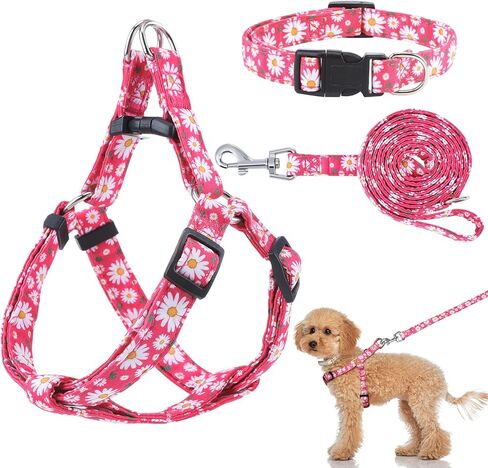 Auidy_6TXD الكلب تسخير طوق المقود مجموعة خطوة في الكلب تسخير لا سحب قابل للتعديل مشبك الظهر الرسن يسخر طوق المقود لجرو الكلاب الصغيرة سلالة المشي اليومي الجري المشي لمسافات طويلة in Kuwait