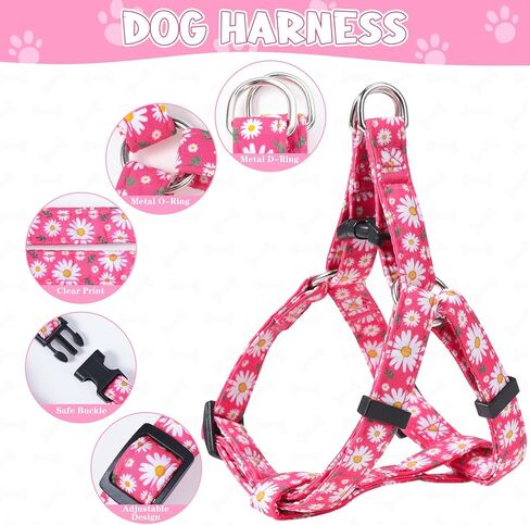 Auidy_6TXD الكلب تسخير طوق المقود مجموعة خطوة في الكلب تسخير لا سحب قابل للتعديل مشبك الظهر الرسن يسخر طوق المقود لجرو الكلاب الصغيرة سلالة المشي اليومي الجري المشي لمسافات طويلة in Kuwait