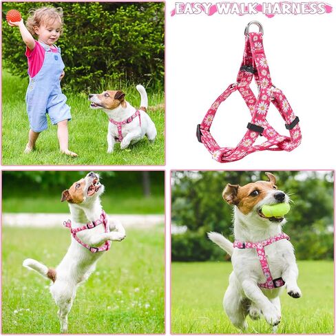 Auidy_6TXD الكلب تسخير طوق المقود مجموعة خطوة في الكلب تسخير لا سحب قابل للتعديل مشبك الظهر الرسن يسخر طوق المقود لجرو الكلاب الصغيرة سلالة المشي اليومي الجري المشي لمسافات طويلة in Kuwait