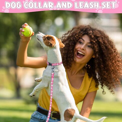 Auidy_6TXD الكلب تسخير طوق المقود مجموعة خطوة في الكلب تسخير لا سحب قابل للتعديل مشبك الظهر الرسن يسخر طوق المقود لجرو الكلاب الصغيرة سلالة المشي اليومي الجري المشي لمسافات طويلة in Kuwait