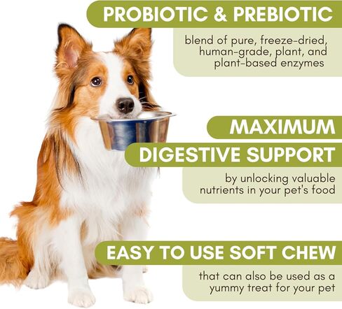 Wholistic Pet Organics: Probiotic Chews for Dogs Digestive Health - 60 Count - Dog Probiotics and Digestive Enzymes - Support Gut Health Immune Supplement Prevents Dog Digestive Problems in Kuwait