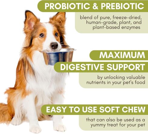 Wholistic Pet Organics: Probiotic Chews for Dogs Digestive Health - 60 Count - Dog Probiotics and Digestive Enzymes - Support Gut Health Immune Supplement Prevents Dog Digestive Problems in Kuwait