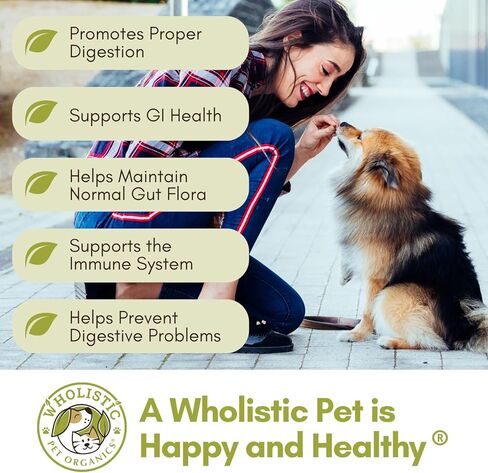 Wholistic Pet Organics: Probiotic Chews for Dogs Digestive Health - 60 Count - Dog Probiotics and Digestive Enzymes - Support Gut Health Immune Supplement Prevents Dog Digestive Problems in Kuwait