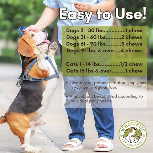 Wholistic Pet Organics: Probiotic Chews for Dogs Digestive Health - 60 Count - Dog Probiotics and Digestive Enzymes - Support Gut Health Immune Supplement Prevents Dog Digestive Problems in Kuwait